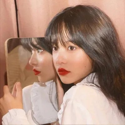 夜之蝶